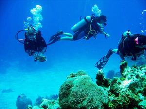 three people scuba diving over a coral reef at Calm Villa Ahangama in Ahangama