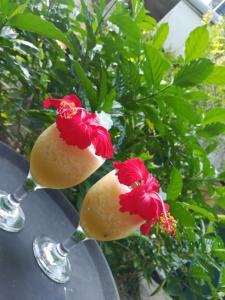 twee wijnglazen met twee rode bloemen erop bij Calm Villa Ahangama in Ahangama