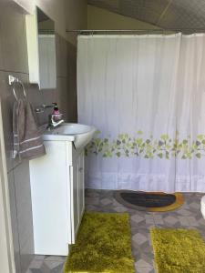 a bathroom with a sink and a shower curtain at Hibiscus Bliss Getaway in San Juan +18 photos