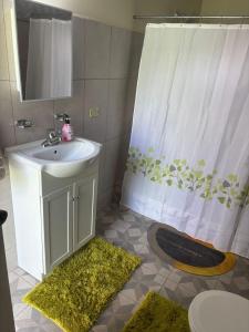 a bathroom with a sink and a shower curtain at Hibiscus Bliss Getaway in San Juan
