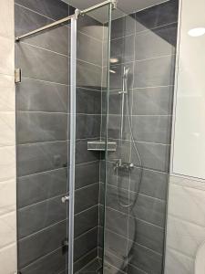 a shower with a glass door in a bathroom at Studio Vučko in Pale