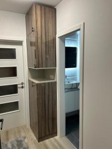 a bathroom with a sink and a door with a mirror at Studio Vučko in Pale +42 photos