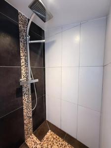 a shower with a shower head in a bathroom at Coeur Rochelais, Atypique, centre, 5 min du port in La Rochelle