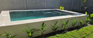 a large swimming pool in a backyard with plants at Nuevo Leones, #50 in Parrita
