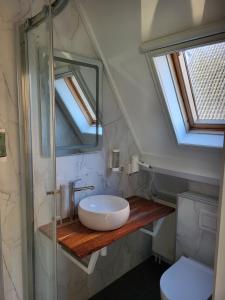 une salle de bain avec un lavabo et une douche en verre dans l'établissement Hotel Stedswal, à Sloten 65 autres photos