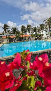 Swimmingpoolen hos eller tæt på Apartamento Aluguel Morro Branco.