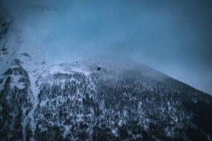 een met sneeuw bedekte berg met een vogel erop bij Room in Cozy Cottage 