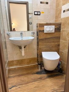 een badkamer met een wastafel en een toilet bij Pension 21 in Praag +51 foto's