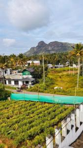 ein Tennisplatz auf einer Wiese mit Palmen in der Unterkunft JK Home stay in Sultan Bathery