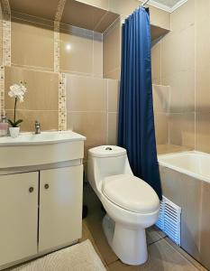a bathroom with a toilet and a sink and a tub at La Galería B&B in Valparaíso +22 photos