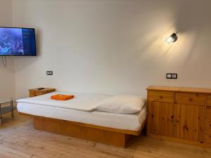 een slaapkamer met een bed en een tv aan de muur bij Pension 21 in Praag
