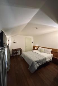 a bedroom with a large bed and a television at La Barchessa in Corva