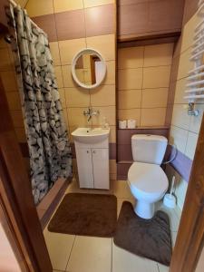 a small bathroom with a toilet and a sink at Atticapartament in Kluszkowce