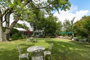a yard with chairs and tables and a tree at Five Mountains Guest Farm & Spa in Wellington