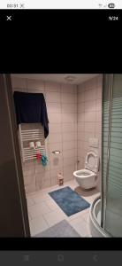 a bathroom with a toilet and a blue rug at Apart studio3 in Kortenberg
