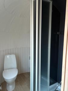 a bathroom with a toilet and a shower at Seeperle Weißenstadt Haus Kornberg in Weißenstadt