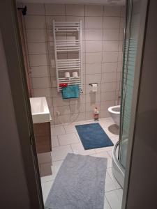 a bathroom with a shower and a sink and a toilet at Apart studio3 in Kortenberg