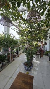 En have udenfor Alleyhomestay- Trần Đại Nghĩa + 16 billeder