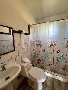 a bathroom with a toilet and a sink and a shower curtain at Cabaña la Concepción 1 in Cunco
