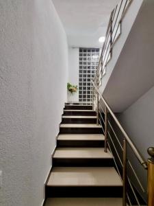 een trap in een huis met een plant aan de muur bij Eden Guesthouse Peja in Peje