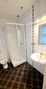 een badkamer met een douche, een toilet en een wastafel bij Sauda Bed & Breakfast in Sauda