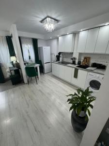 a kitchen with white cabinets and a potted plant at Apartament Grabowa in Kłodzko