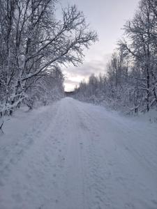 een weg bedekt met sneeuw met bomen erop bij Room in Cozy Cottage 