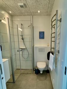 オルダーにあるHYGGE Strand Campingのシャワーとトイレ付きのバスルーム