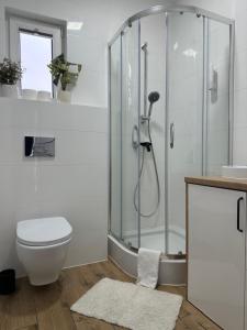 ein Badezimmer mit Dusche, Toilette und Waschbecken in der Unterkunft SkyView Wierch Private Jacuzzi Mountain View in Ząb + 8 Fotos