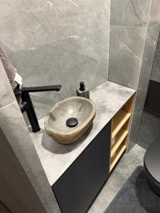 a bathroom with a stone sink on a counter at Turgaus 10 in Klaipėda