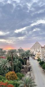 a street with palm trees and the pyramids at Palma Pyramids hotel in Cairo