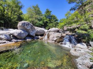 a pool of water with rocks and a waterfall at Le Refuge de Castagnols in Vialas