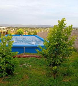 een zwembad in een tuin met twee bomen bij Brisas de las Sierras in Tanti