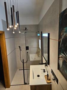 een badkamer met een douche en een witte wastafel bij Apartmán GREEN in Vysoké Mýto
