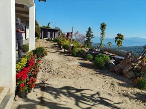 a dirt road with flowers on the side of a building at Vila's Homestay in Kohīma