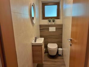 a bathroom with a toilet and a sink and a mirror at Appart Leni in Pfunds
