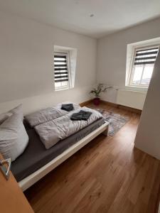 ein Schlafzimmer mit einem Bett und zwei Fenstern in der Unterkunft Ferienwohnung Unger in Großhartmannsdorf