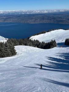 Appartement-Chalet avec Terrasse - Vue Lac om vinteren