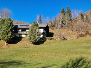 a house on top of a hill with trees at Haus Robi Wood in Bad Kleinkirchheim
