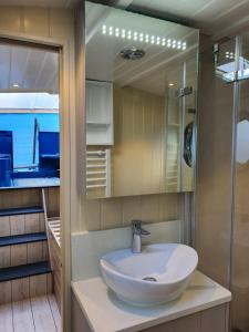 a bathroom with a sink and a mirror at Hausboot Lütje in Hamburg