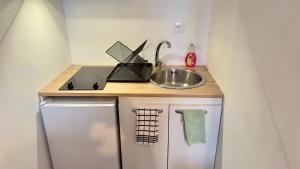 una piccola cucina con lavello e fornello di Studio cosy - Quartier Prébendes, Tours centre a Tours