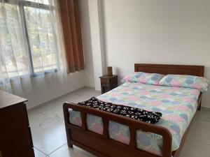 ein Schlafzimmer mit einem Bett und einem Fenster in der Unterkunft Casa Doña Blanca in Guaduas + 10 Fotos