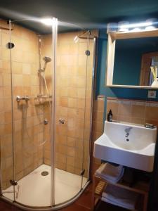 een badkamer met een douche en een wastafel bij Haus Bei Der Kirche in Oland