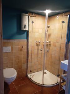 een badkamer met douche en toilet bij Haus Bei Der Kirche in Oland