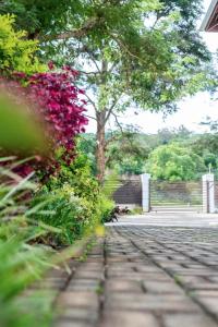 a garden with pink flowers and a brick sidewalk at Borrowdale Top End - Apartments in Harare