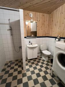 een badkamer met een toilet, een wastafel en een spiegel bij Apartment in barn in Gran
