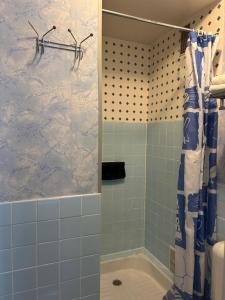 een badkamer met een douche met blauw en wit bij Hotel le France, Redon in La Celle-sous-Gouzon +17 foto's