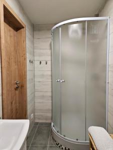 a bathroom with a shower and a sink at Apartmány Krásné zátiší in Krásno