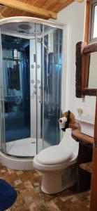 un bagno con doccia, wc e lavandino di CASA CON PLAYA PUCURA a Licán Ray Altre 11 foto