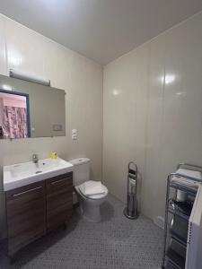 a bathroom with a toilet and a sink and a mirror at Hotel le France, Redon in Redon +14 photos